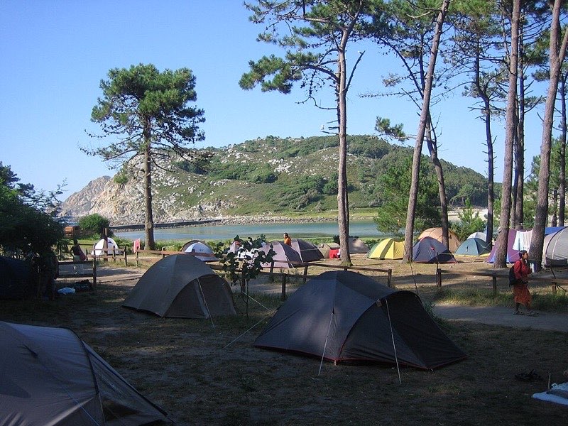 Tiendas de campaña bajo los pinos en el camping de las Islas Cíes, con la ría al fondo